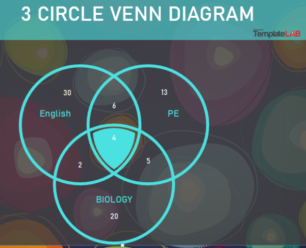 Venn diagrams examples with solution 2 3 circles