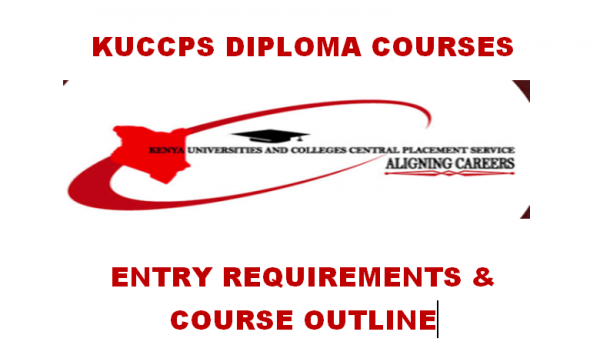Diploma in supplies management course units